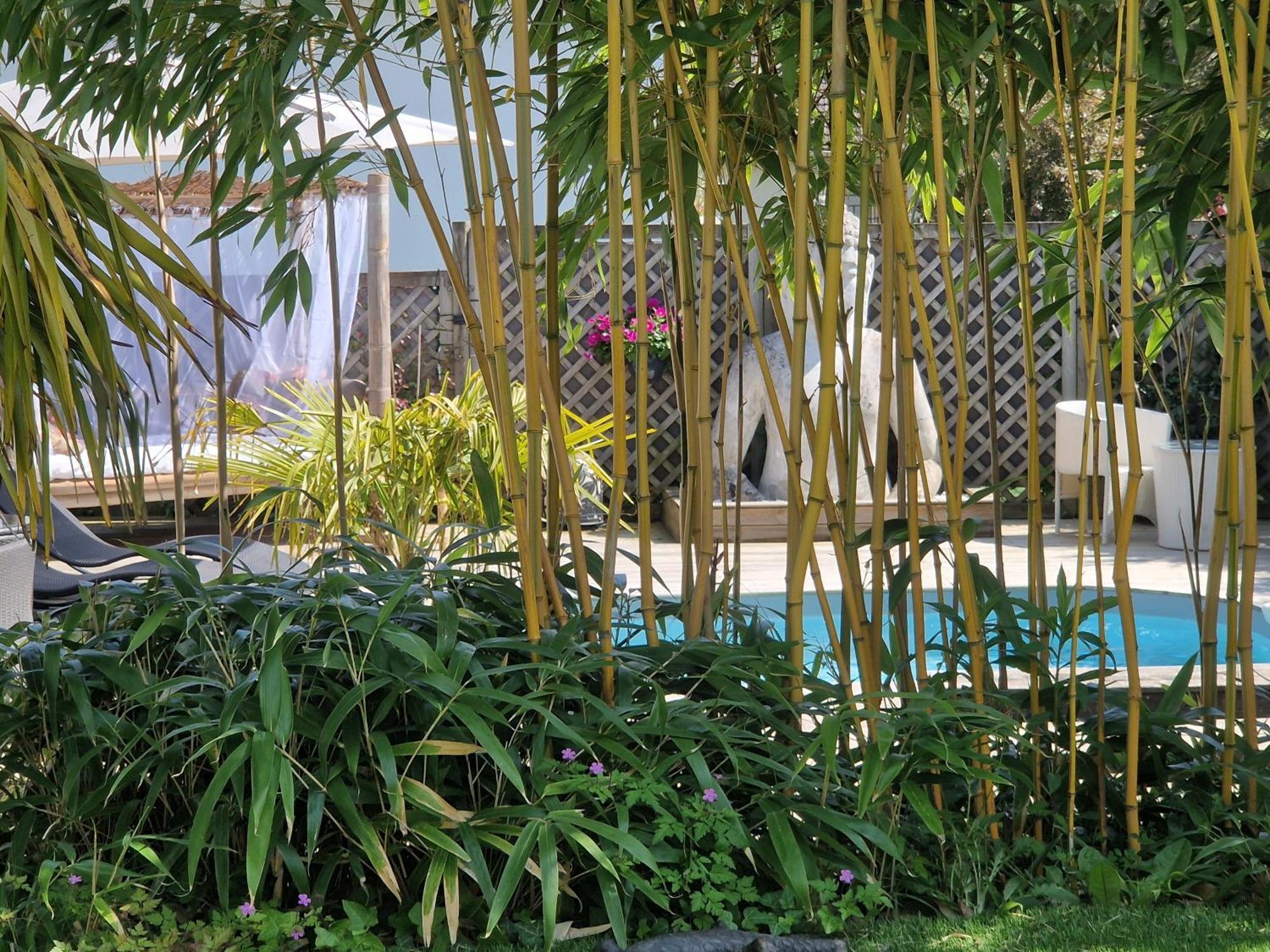 La Serenite Balinaise, Chambre Et Sdb Privee, Jardin , Piscine Et Jacuzzi En Saison, Pres De Chantilly, Parc Asterix Et Cdg Et Paris En 20' Орри-ла-Виль Экстерьер фото